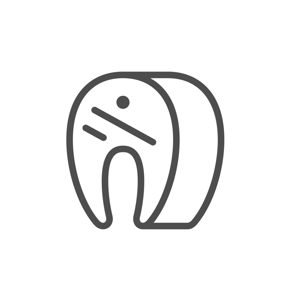 Australian Fish Fillets Icon