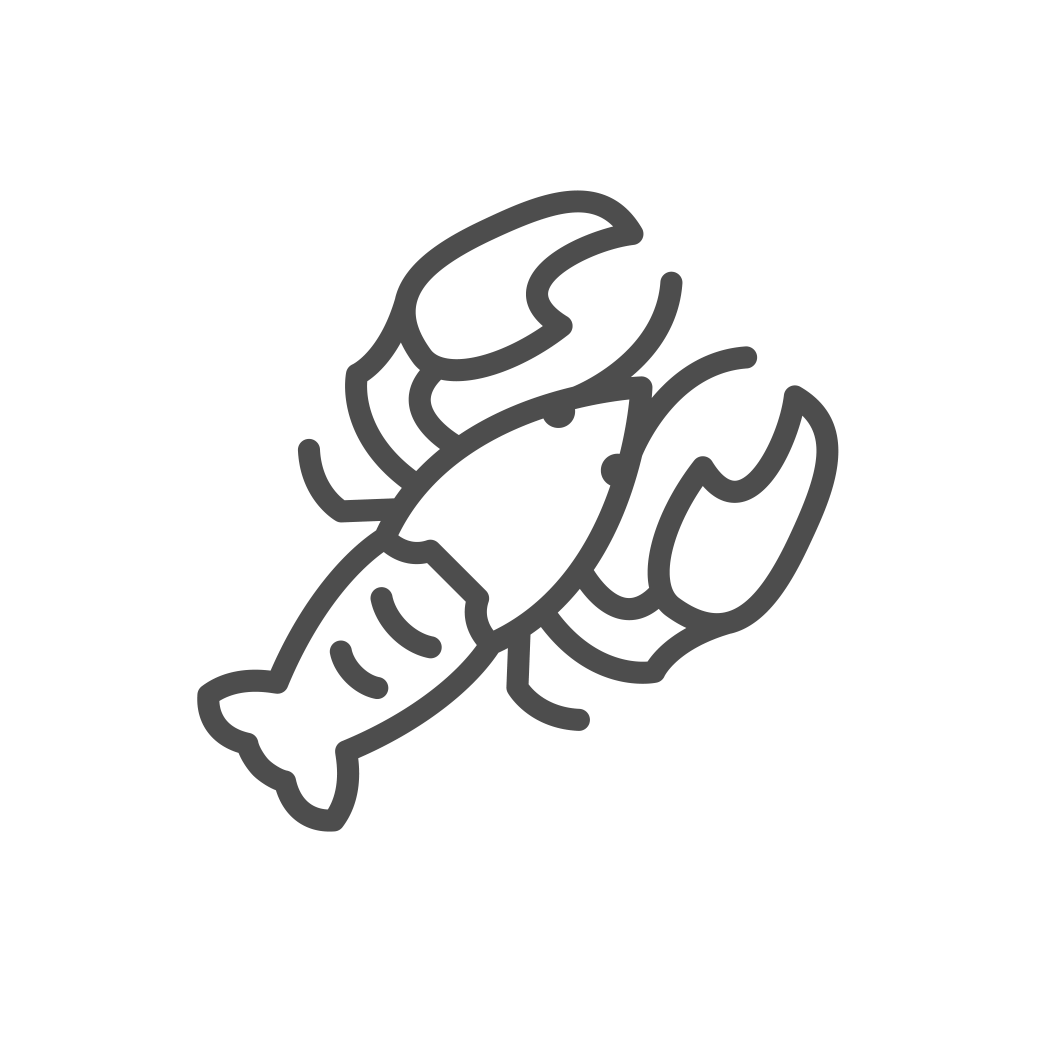 Australian Lobster Icon