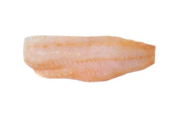 Freshwater Murray Cod Fillet