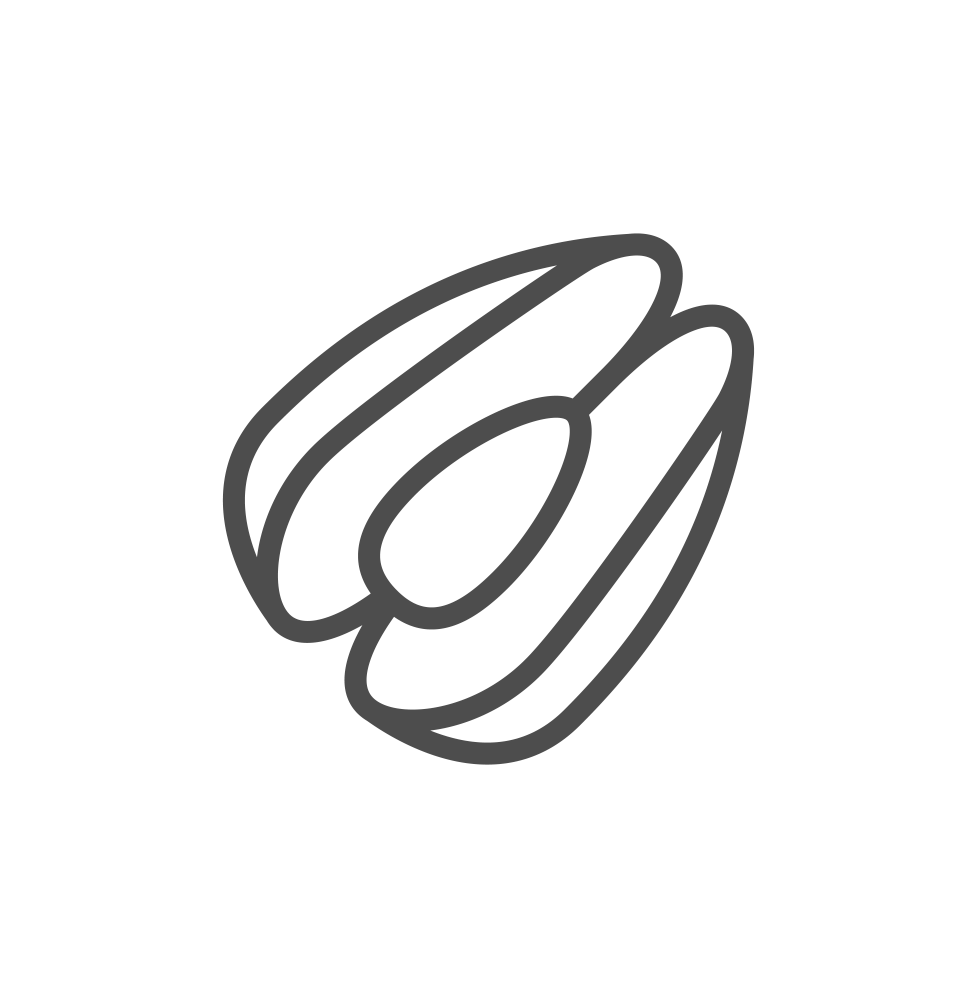 Australian Oyster Icon