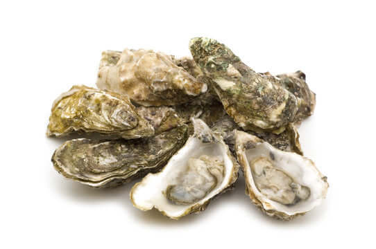 Sydney Rock Oysters