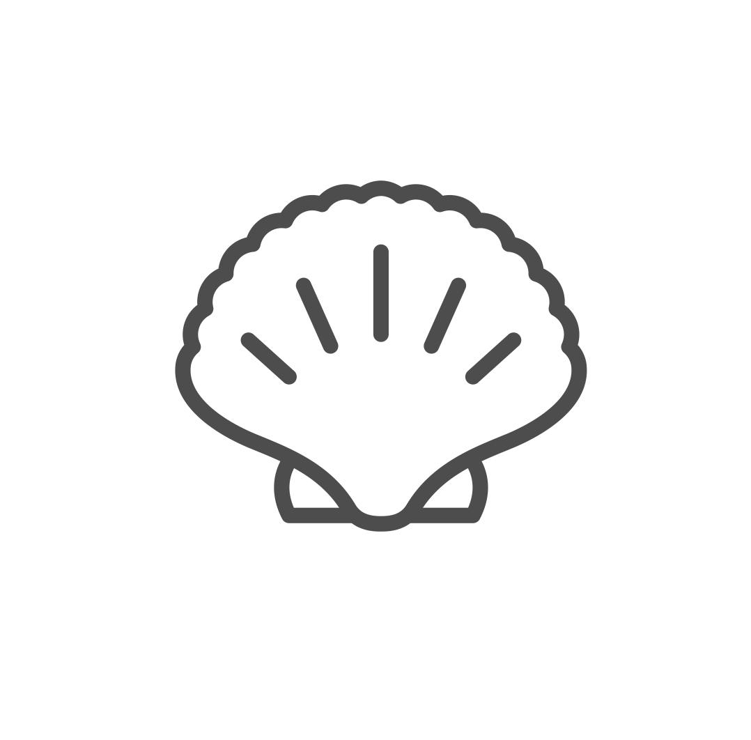 Australian Scallop Icon