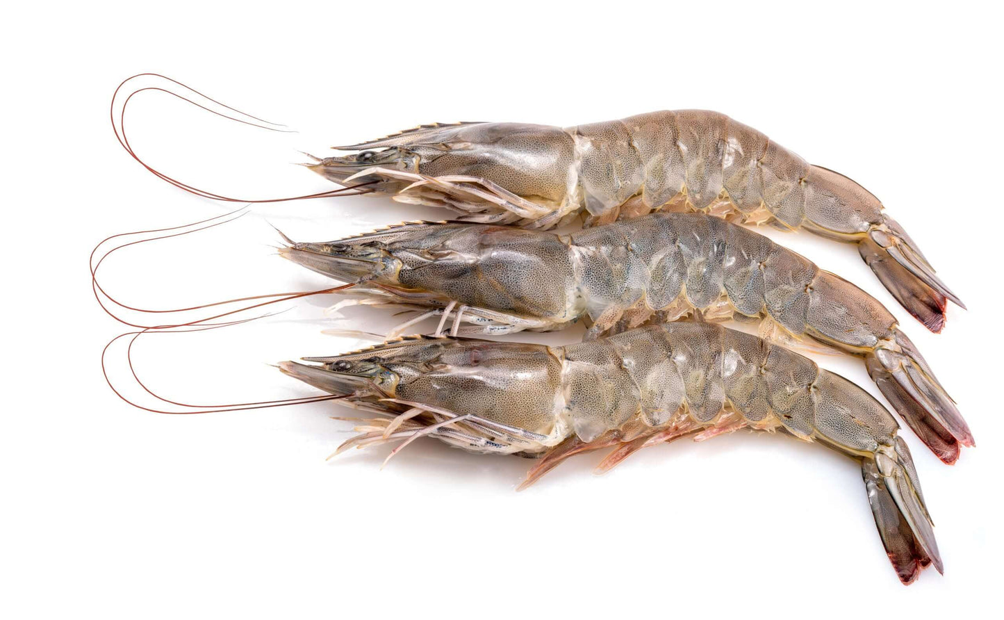 Australian Banana Prawns