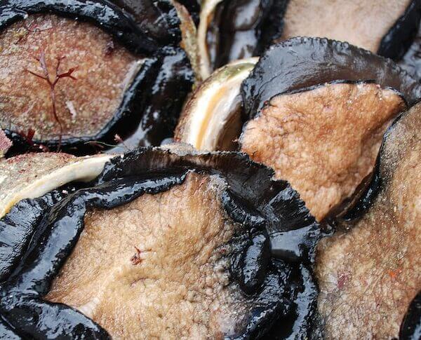 Blacklip Abalone Meat