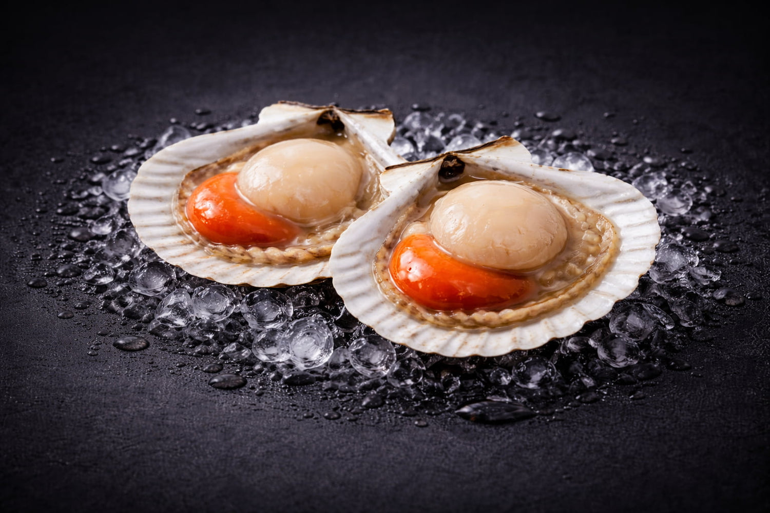 Tasmanian Scallops