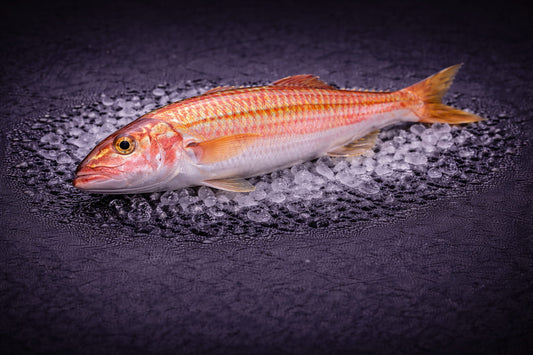 Australian Striped Red Mullet